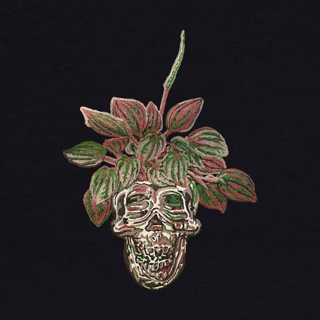 Skull Planter Peperomia by RaLiz